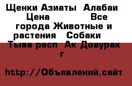 Щенки Азиаты (Алабаи) › Цена ­ 20 000 - Все города Животные и растения » Собаки   . Тыва респ.,Ак-Довурак г.